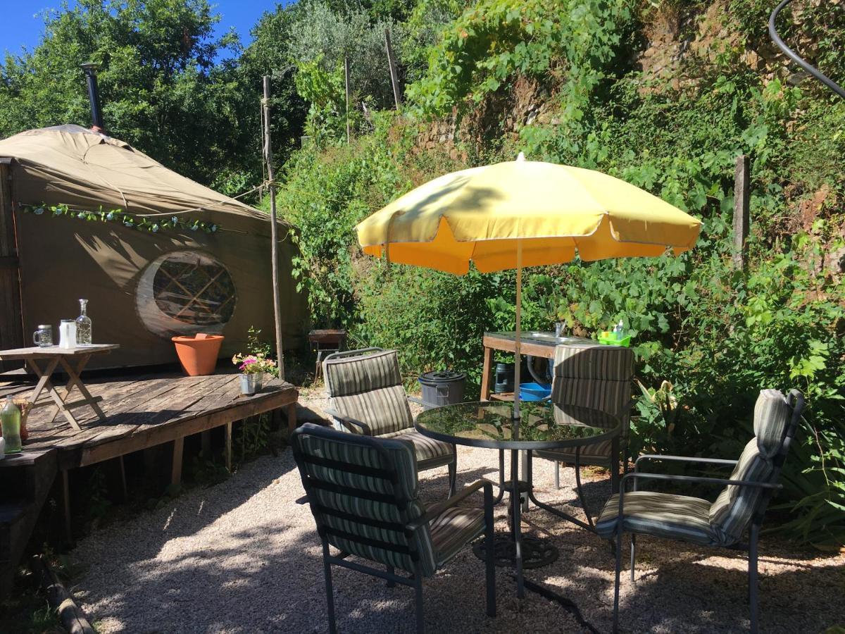Star Gazing Luxury Yurt With River Views, Off Grid Eco Living Vale do Barco Экстерьер фото
